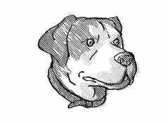 更大的瑞士山狗品种卡通复古的画