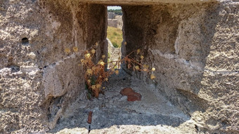 历史炮眼漏洞墙堡垒罗兹希腊视图内部干花漏洞历史墙