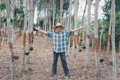 农民农业家橡胶树种植园