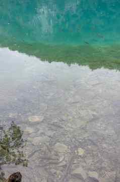特湖泊国家公园透明的清晰的水底湖树水鱼瀑布湖森林底地形表面湖lazur颜色