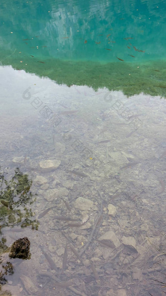 特湖泊国家公园透明的清晰的水底湖树水鱼瀑布湖森林底地形表面湖lazur颜色