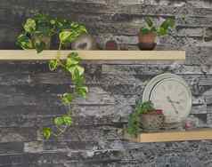 生活房间墙货架上能植物时钟装饰