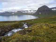 北部夏天景观美丽的雪覆盖悬崖alfsfell山海赫洛杜维克湾野生水流绿色草地云角落海滩西峡湾冰岛