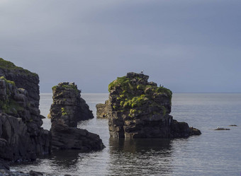 大鸟悬崖岩石大西洋海洋海鸥草海蓝色的天空背沟金小<strong>时光</strong>夏天自然储备角落海滩westfjords冰岛复制空间