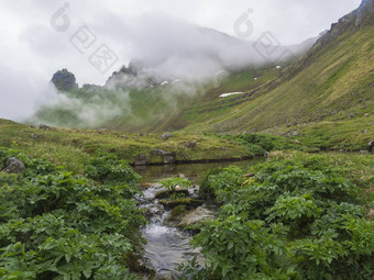 神秘的视图美丽的王女王hornbjarg悬崖西峡湾远程自然储备角落海滩冰岛郁郁葱葱的绿色有雾的草地水流莫斯岩石峰失去了雾