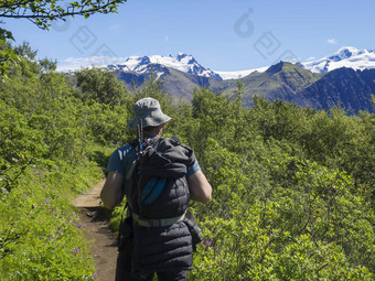 回来男人。徒步旅行者走小径斯卡夫塔山国家公园绿色布什赫瓦纳达尔什努库尔峰最高冰岛山瓦特纳冰川冰岛