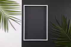 框架热带棕榈叶子黑色的白色背景