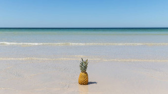 孤独的菠萝沙子海滩