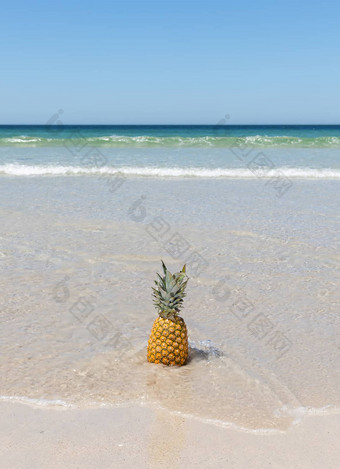 孤独的<strong>菠萝</strong>沙子海滩