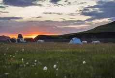 美丽的红色的紫色的日出兰德曼纳劳卡山营网站区域放牧羊帐篷山背自然储备高地地区冰岛