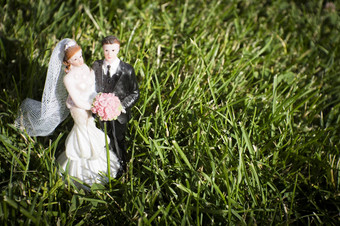 标准数字婚礼夫妇自然草场