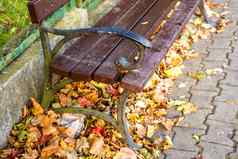 公园板凳上城市秋天的太阳