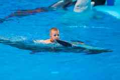 快乐男孩游泳海豚海豚馆