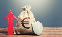 欧元钱袋盾红色的箭头增加最大量保证保险补偿存款金融系统稳定安全安全投资储蓄