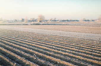 冬天农场场农业农业综合企业预备农业工作春天晚上霜冻威胁豆芽作物日益增长的蔬菜农业行业