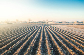 冬天农场场准备好了种植季节农业农业综合企业预备农业工作春天选择时间播种字段植物种子保护春天霜冻