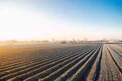 冬天农场场准备好了种植季节农业农业综合企业预备农业工作春天选择时间播种字段植物种子保护春天霜冻
