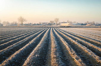 冬天农场场准备好了种植季节农业农业综合企业选择时间播种字段植物种子保护春天霜冻预备农业工作春天