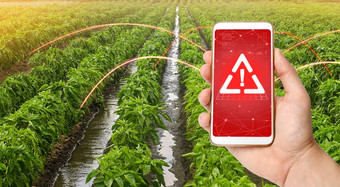 电话警告标志背景甜蜜的保加利亚贝尔胡椒种植园灌溉运河<strong>环境危害</strong>农业收获有害的农药化学物质农业