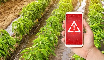 电话警告标志背景甜蜜的保加利亚贝尔胡椒种植园灌溉运河农业收获有害的农药化学物质农业<strong>环境危害</strong>