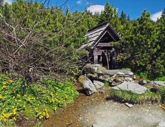 山喷泉松实习医生风云杰塞尼基山捷克共和国