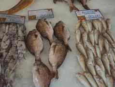 传统的鱼市场科孚岛小镇克基拉希腊种类地中海新鲜的鱼鱿鱼出售冰