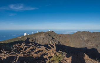 干树根<strong>最高峰</strong>棕榈罗格这些伙计们大望远镜天文台火山口taburiente蓝色的天空海背景棕榈金丝雀岛屿西班牙
