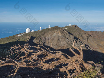 干树根<strong>最高峰</strong>棕榈罗格这些伙计们大望远镜天文台火山口taburiente蓝色的天空海背景棕榈金丝雀岛屿西班牙