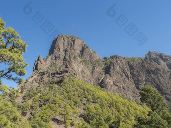 <strong>火山</strong>景观郁郁葱葱的松树森林松果体canariensis视图宫坎布雷西塔的观点国家公园<strong>火山口</strong>taburiente<strong>火山火山口</strong>棕榈金丝雀岛屿西班牙