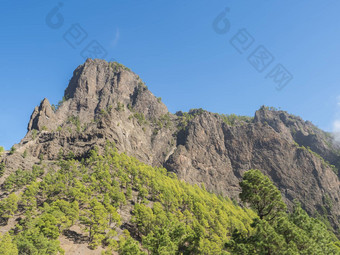 <strong>火山</strong>景观郁郁葱葱的松树森林松果体canariensis视图宫坎布雷西塔的观点国家公园<strong>火山口</strong>taburiente<strong>火山火山口</strong>棕榈金丝雀岛屿西班牙