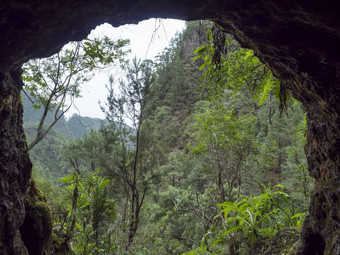 视图黑暗水管隧道运行水郁郁葱葱的丛林徒步旅行小道这些蒂洛斯神秘的月桂树森林美丽的自然储备棕榈金丝雀岛屿西班牙