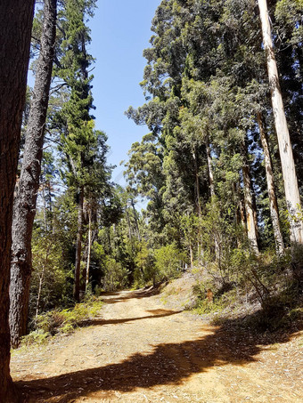 徒步旅行小道tablemountain国家公园角小镇