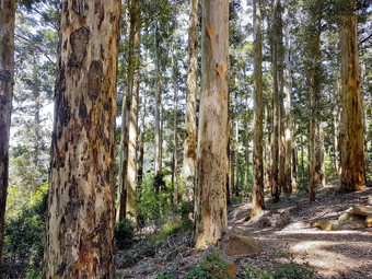 徒步旅行小道tablemountain国家公园角小镇