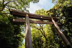 明治神宫神社东京日本