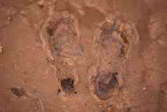 跟踪人类脚沙子