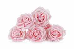 粉红色的纸玫瑰白色反射