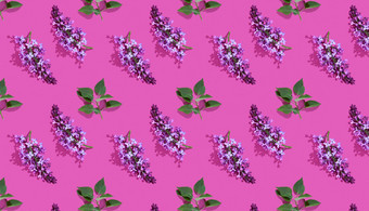 时尚的等角无缝的连续模式春天淡紫色花叶极简主义概念空间文本