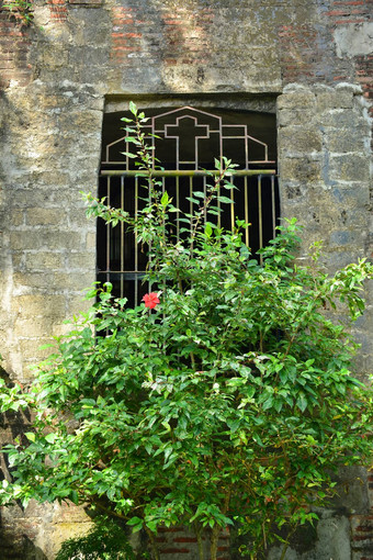 绿色植物博索博索教堂antipolo菲律宾