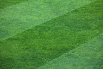 特写镜头条纹模式长满草的足球场