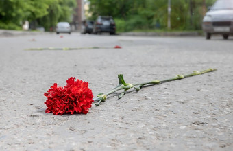 红色的康乃馨花说谎街沥青路