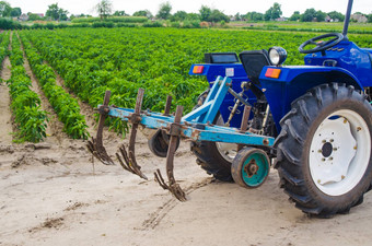 蓝色的拖拉机cultivator犁绿色场保加利亚胡椒种植园背景农业农业农业机械设备工作农场收获
