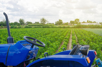 蓝色的拖拉机背景绿色场保加利亚胡椒种植园农业农业农业机械设备工作农场播种收获