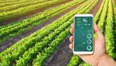 手持有智能手机infographics背景胡萝卜种植园农业创新技术数据分析植物状态蔬菜行有机农业