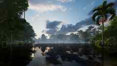 湖热带丛林晚上天空