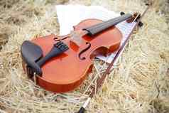 小提琴弓桩稻草场音乐小提琴培训