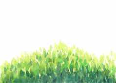 摘要水彩手绘画绿色叶子森林框架白色孤立的背景自然生态模板