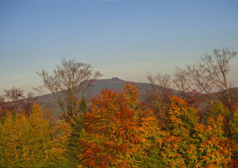秋天色彩斑斓的红色的橙色森林树山金光日落景观卢齐克霍里山