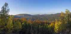 全景视图klic阿比拉什有吸引力的中诚信劳济茨人的山秋天彩色的落叶松柏科的树森林绿色山金小时光