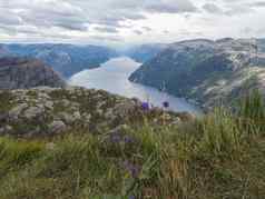 视图峡湾利瑟峡湾讲坛岩巨大的悬崖著名的挪威的观点盛开的紫罗兰色的花喜怒无常的天空秋天一天自然旅行背景假期徒步旅行假期