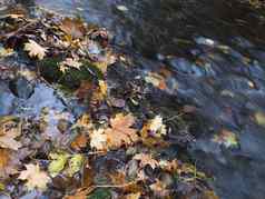 色彩斑斓的下降秋天的叶子长曝光水森林流溪秋天石头莫斯卢齐克霍里lusitian山捷克共和国
